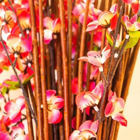 아파트 Despoina 플라타모나스