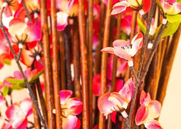 公寓 Despoina 帕拉塔蒙