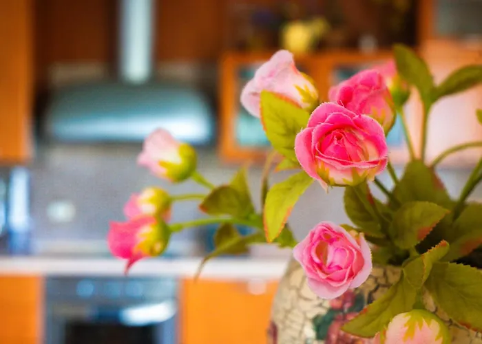 Despoina Apartment *